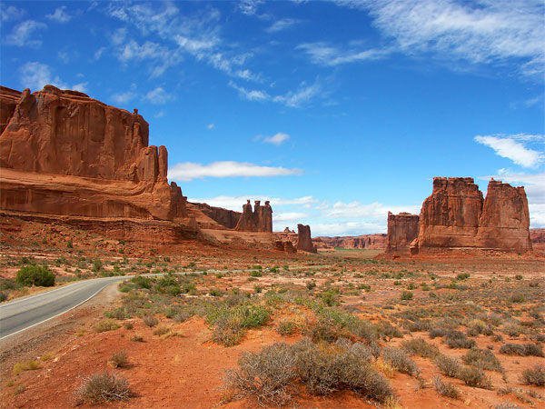 Photo of a desert with desert plants and red rock formations